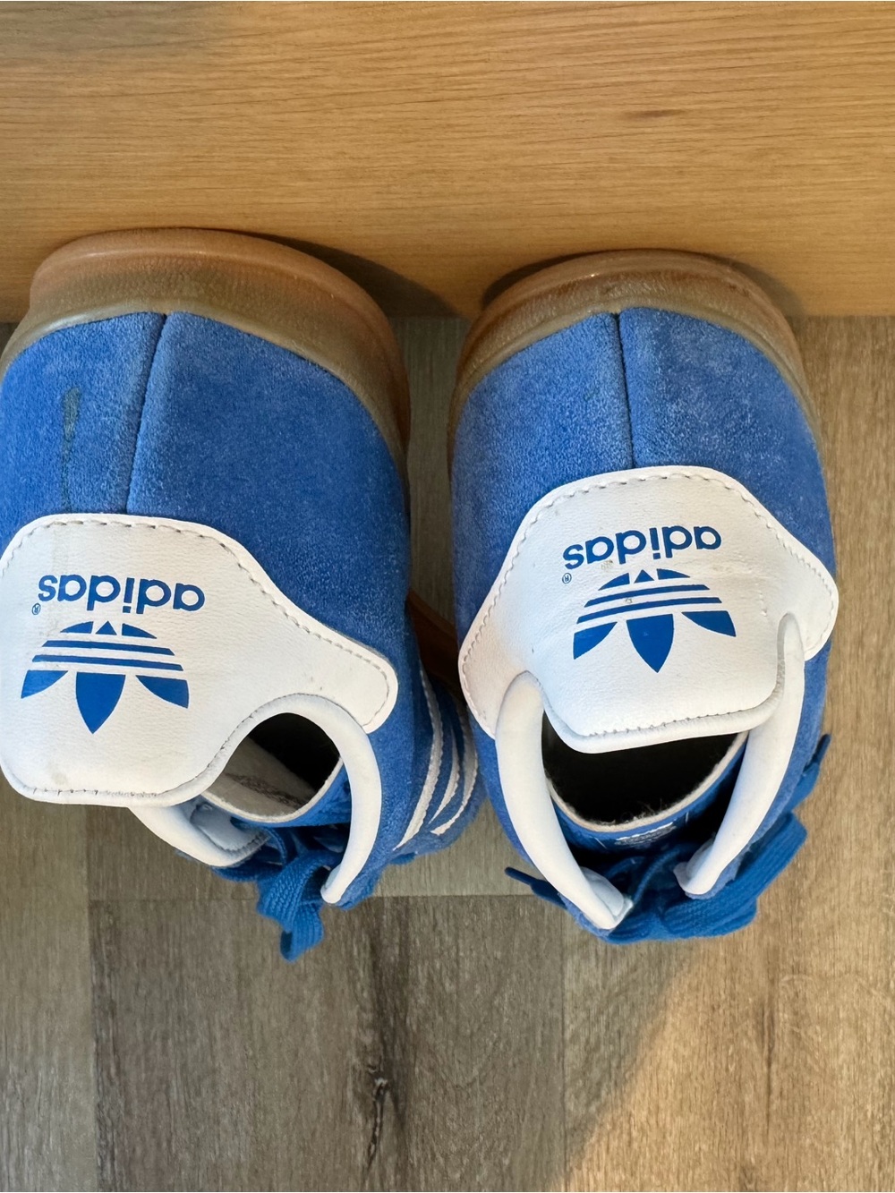 Adidas Gazelle Indoor Shoes - Blue Bird / Cloud White / Gum - Picture 3 of 4